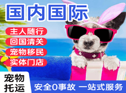 成都双流机场托运国际宠物托运 【国
